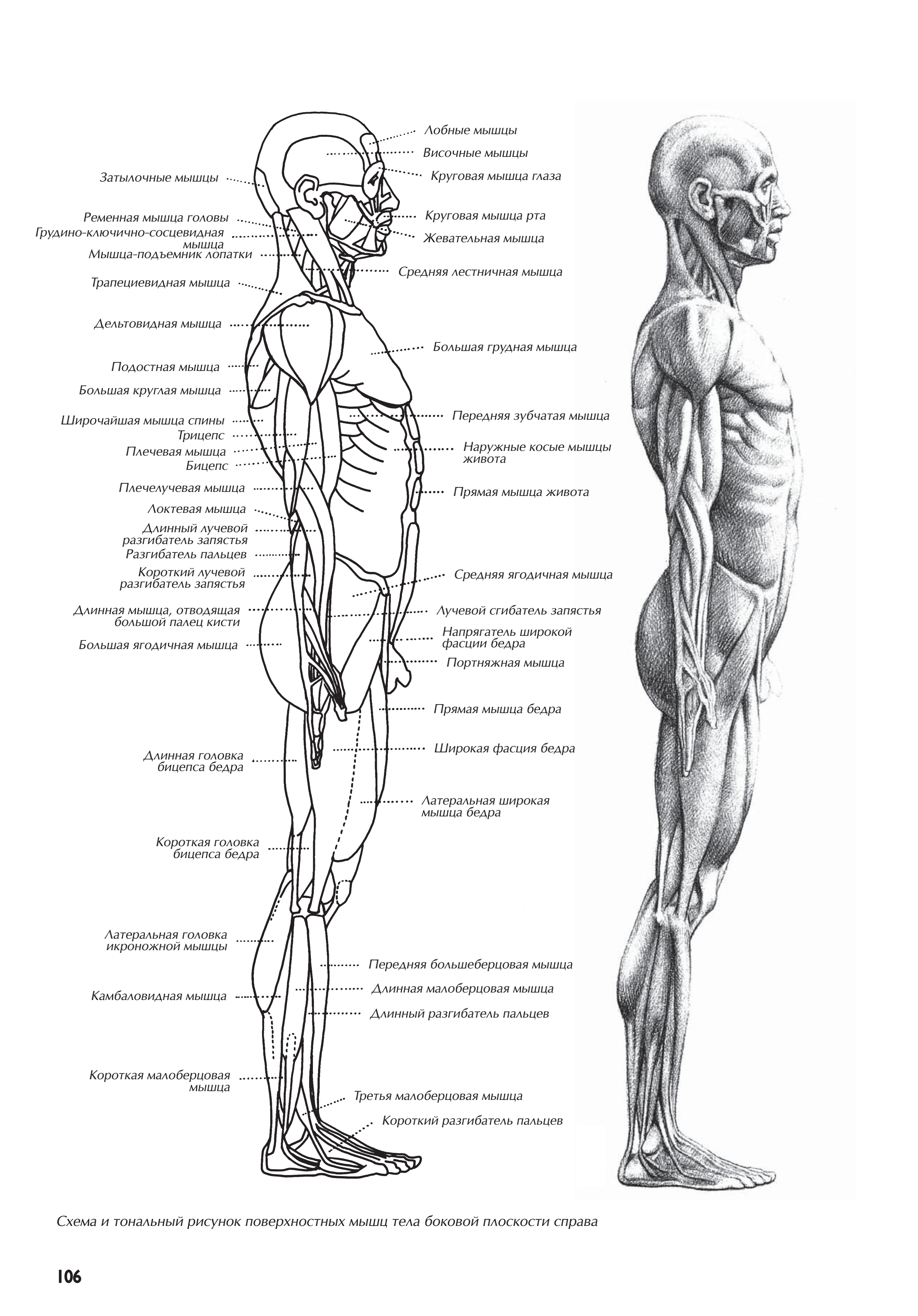 آموزش نقاشی طراحی سیاه قلم شهرری